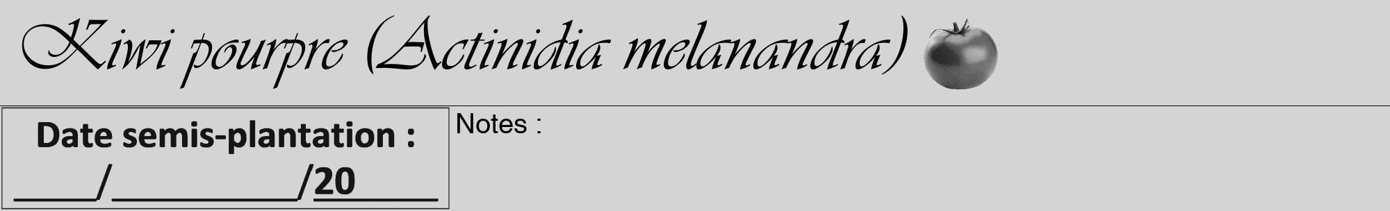 Étiquette de : Actinidia melanandra - format a - style noire40viv avec comestibilité simplifiée
