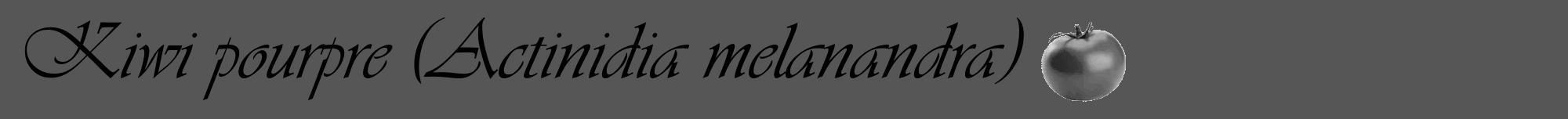 Étiquette de : Actinidia melanandra - format a - style noire45viv avec comestibilité simplifiée