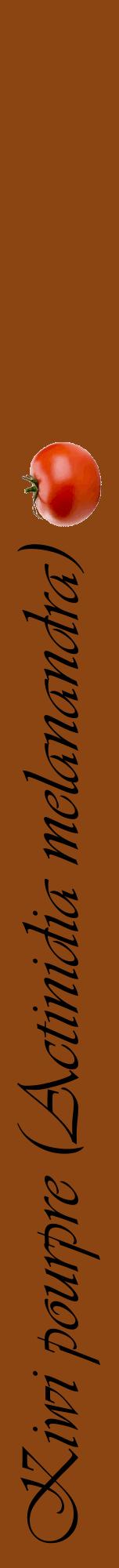 Étiquette de : Actinidia melanandra - format a - style noire30viv avec comestibilité simplifiée