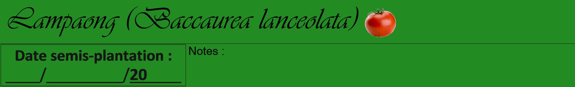 Étiquette de : Baccaurea lanceolata - format a - style noire10viv avec comestibilité simplifiée