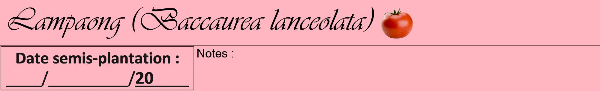 Étiquette de : Baccaurea lanceolata - format a - style noire41viv avec comestibilité simplifiée