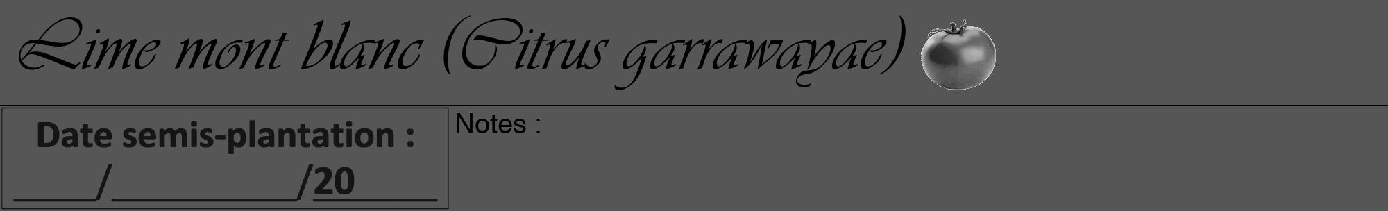 Étiquette de : Citrus garrawayae - format a - style noire45viv avec comestibilité simplifiée
