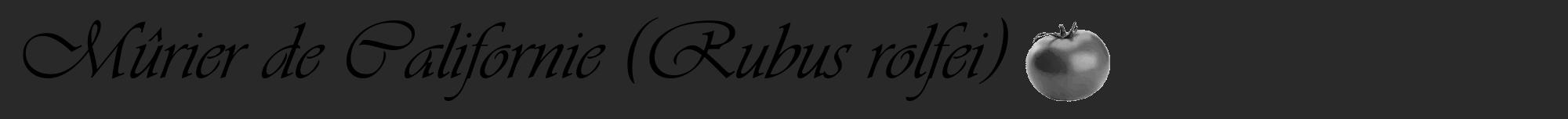Étiquette de : Rubus rolfei - format a - style noire34viv avec comestibilité simplifiée