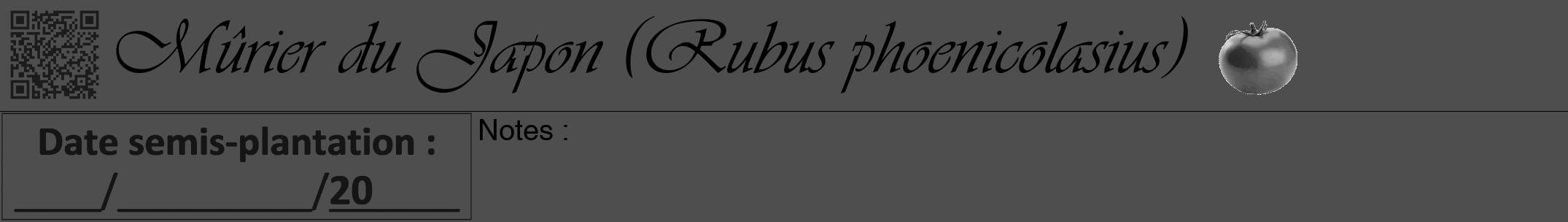 Étiquette de : Rubus phoenicolasius - format a - style noire33viv avec qrcode et comestibilité simplifiée