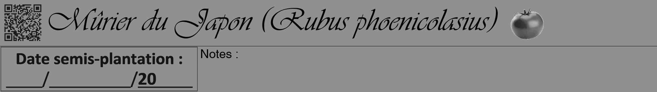Étiquette de : Rubus phoenicolasius - format a - style noire4viv avec qrcode et comestibilité simplifiée