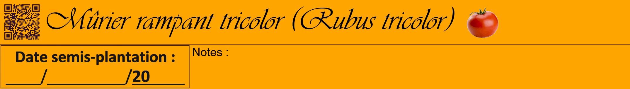 Étiquette de : Rubus tricolor - format a - style noire22viv avec qrcode et comestibilité simplifiée
