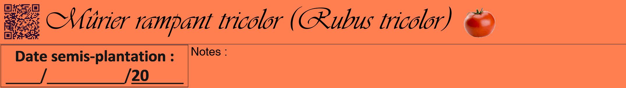 Étiquette de : Rubus tricolor - format a - style noire24viv avec qrcode et comestibilité simplifiée