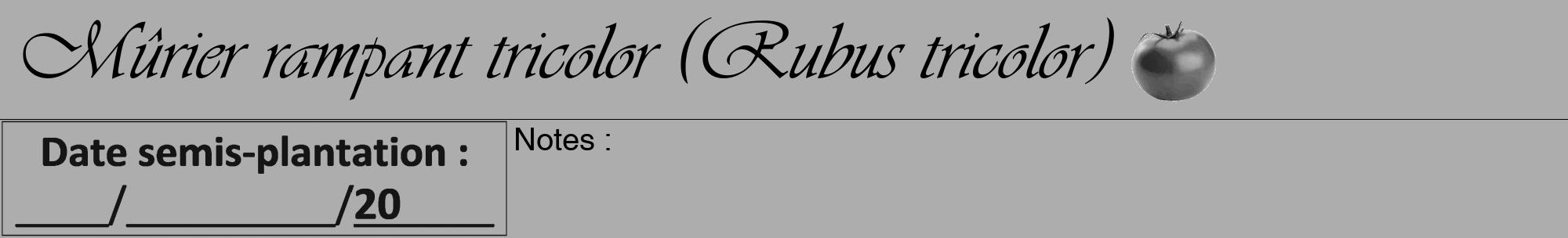 Étiquette de : Rubus tricolor - format a - style noire22viv avec comestibilité simplifiée