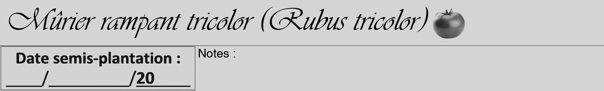 Étiquette de : Rubus tricolor - format a - style noire40viv avec comestibilité simplifiée