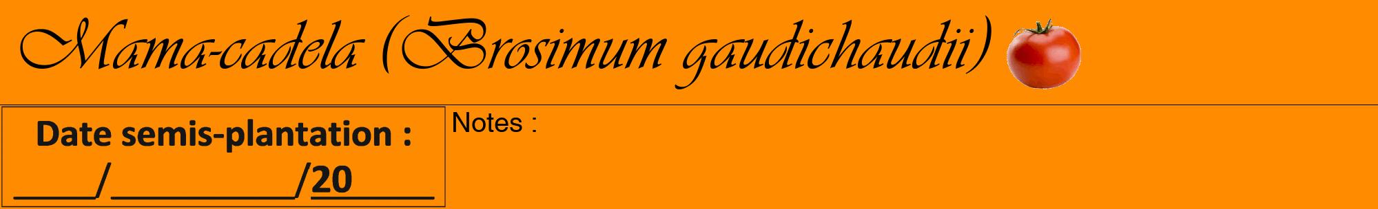 Étiquette de : Brosimum gaudichaudii - format a - style noire23viv avec comestibilité simplifiée