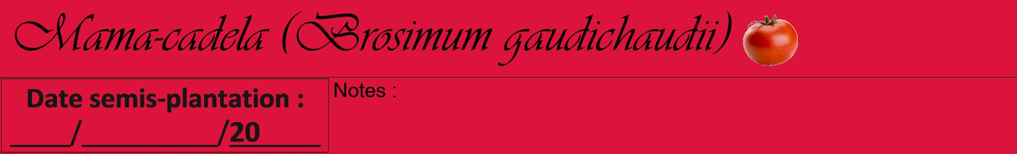 Étiquette de : Brosimum gaudichaudii - format a - style noire36viv avec comestibilité simplifiée