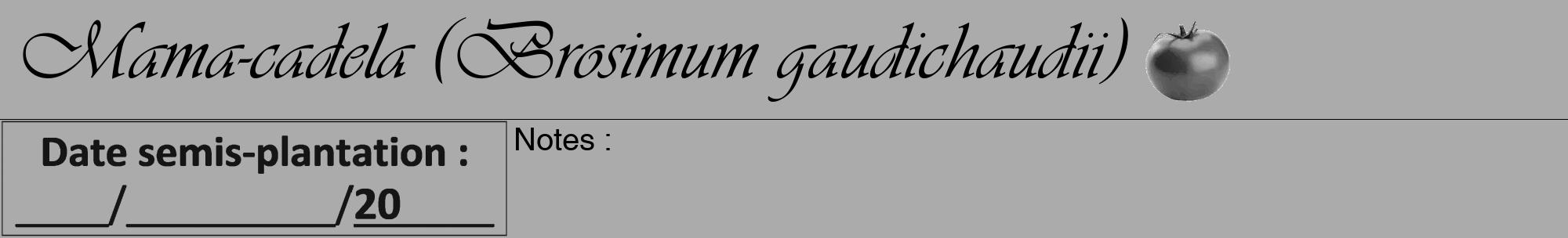 Étiquette de : Brosimum gaudichaudii - format a - style noire37viv avec comestibilité simplifiée