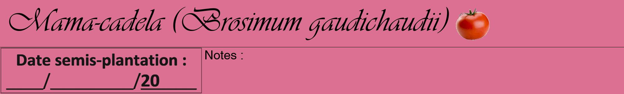 Étiquette de : Brosimum gaudichaudii - format a - style noire44viv avec comestibilité simplifiée
