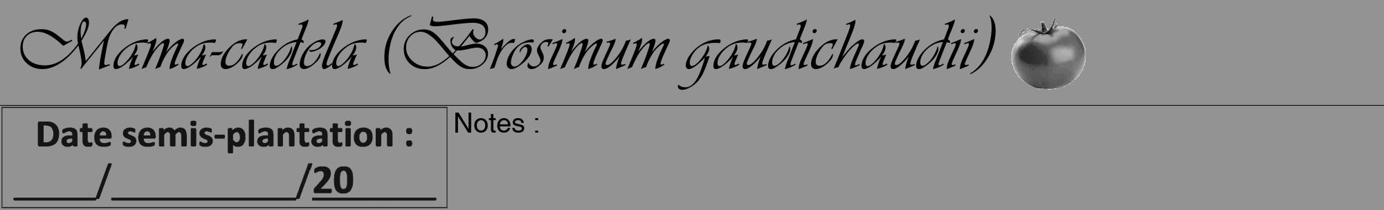 Étiquette de : Brosimum gaudichaudii - format a - style noire44viv avec comestibilité simplifiée