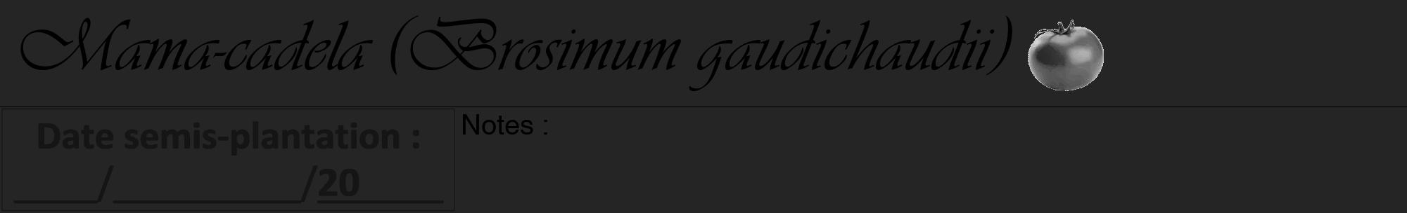 Étiquette de : Brosimum gaudichaudii - format a - style noire47viv avec comestibilité simplifiée