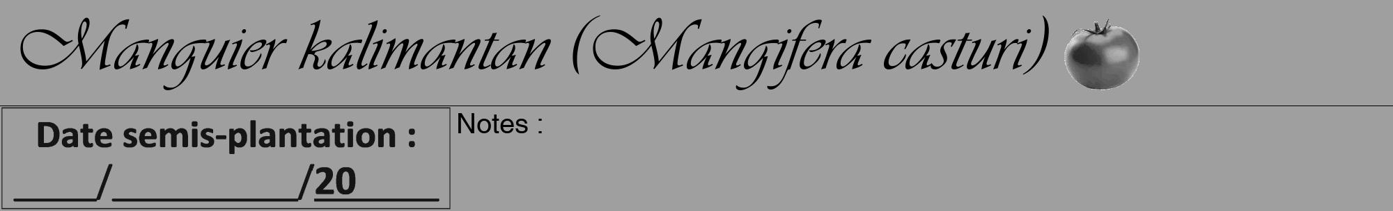 Étiquette de : Mangifera casturi - format a - style noire24viv avec comestibilité simplifiée