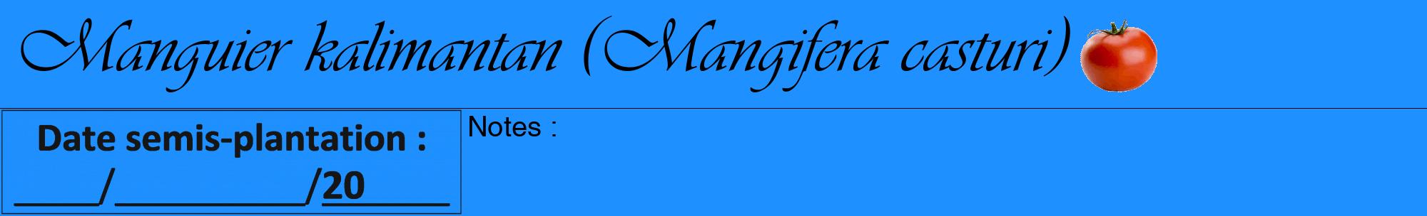 Étiquette de : Mangifera casturi - format a - style noire3viv avec comestibilité simplifiée