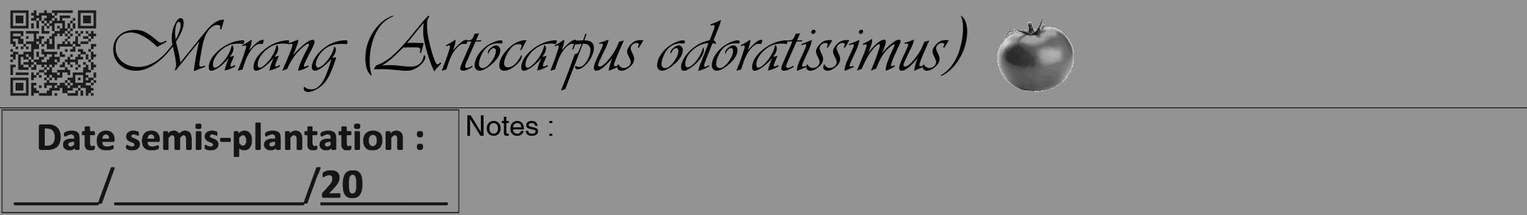 Étiquette de : Artocarpus odoratissimus - format a - style noire44simpleviv avec qrcode et comestibilité simplifiée