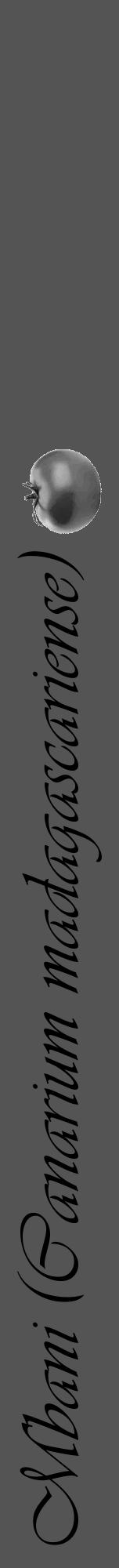 Étiquette de : Canarium madagascariense - format a - style noire36viv avec comestibilité simplifiée - position verticale