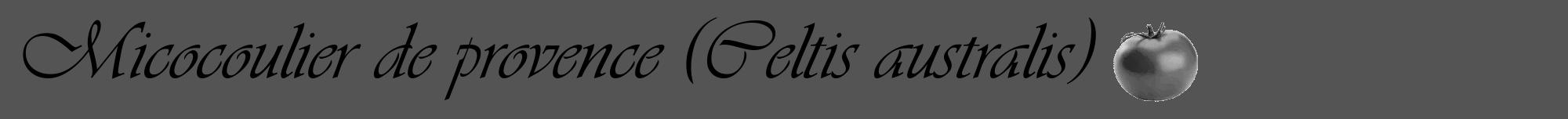 Étiquette de : Celtis australis - format a - style noire36viv avec comestibilité simplifiée