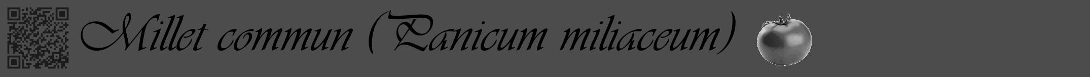 Étiquette de : Panicum miliaceum - format a - style noire27viv avec qrcode et comestibilité simplifiée