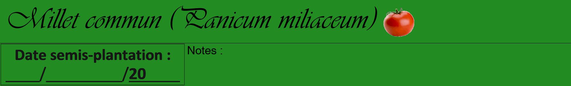 Étiquette de : Panicum miliaceum - format a - style noire10viv avec comestibilité simplifiée