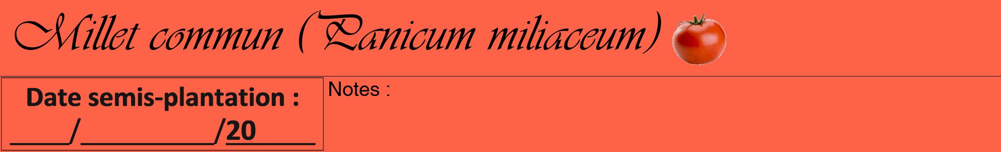 Étiquette de : Panicum miliaceum - format a - style noire25viv avec comestibilité simplifiée