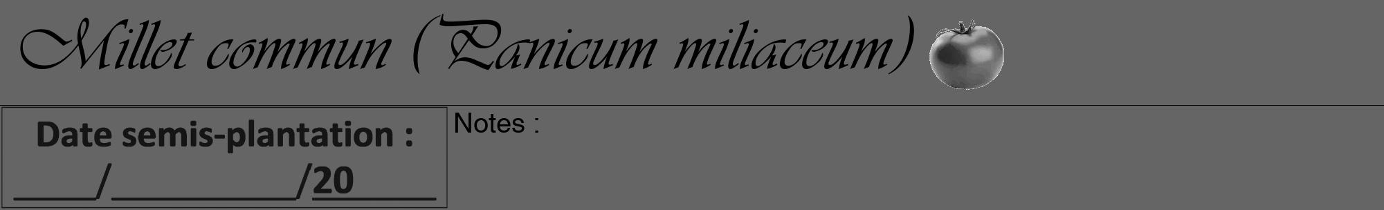 Étiquette de : Panicum miliaceum - format a - style noire32viv avec comestibilité simplifiée