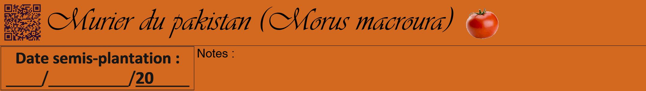 Étiquette de : Morus macroura - format a - style noire31viv avec qrcode et comestibilité simplifiée