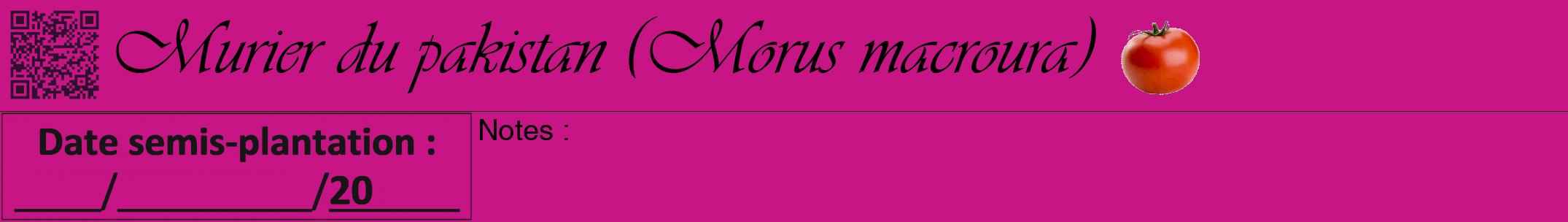 Étiquette de : Morus macroura - format a - style noire45simpleviv avec qrcode et comestibilité simplifiée