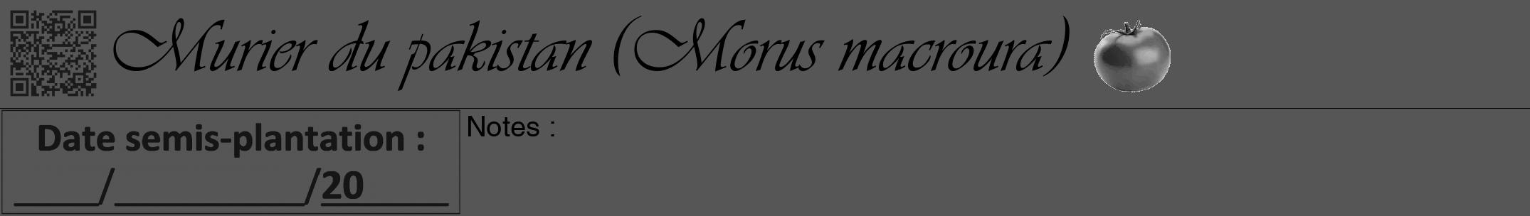 Étiquette de : Morus macroura - format a - style noire45simpleviv avec qrcode et comestibilité simplifiée