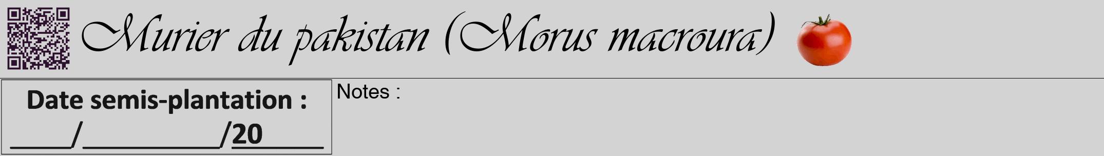 Étiquette de : Morus macroura - format a - style noire56viv avec qrcode et comestibilité simplifiée