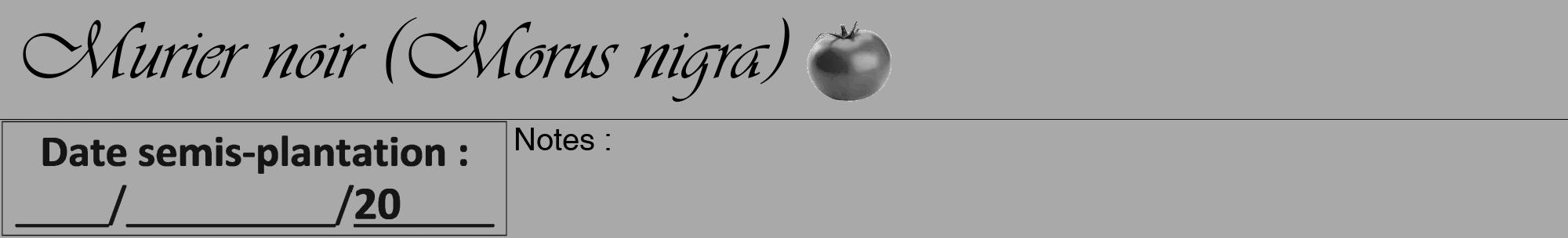 Étiquette de : Morus nigra - format a - style noire13viv avec comestibilité simplifiée