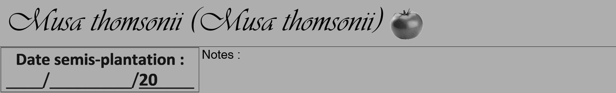 Étiquette de : Musa thomsonii - format a - style noire53viv avec comestibilité simplifiée