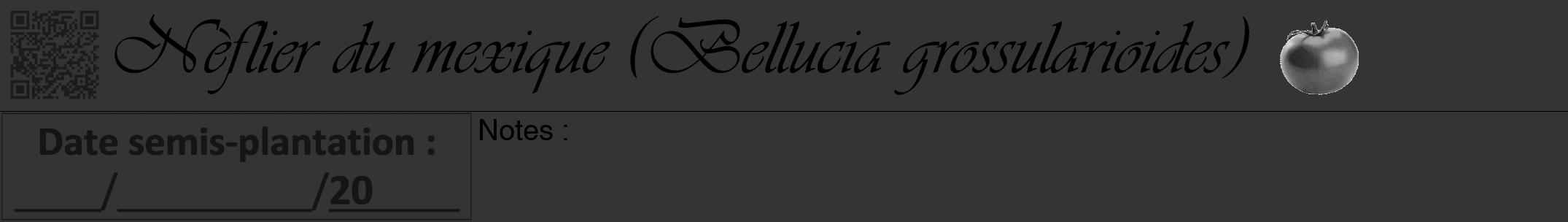 Étiquette de : Bellucia grossularioides - format a - style noire46viv avec qrcode et comestibilité simplifiée