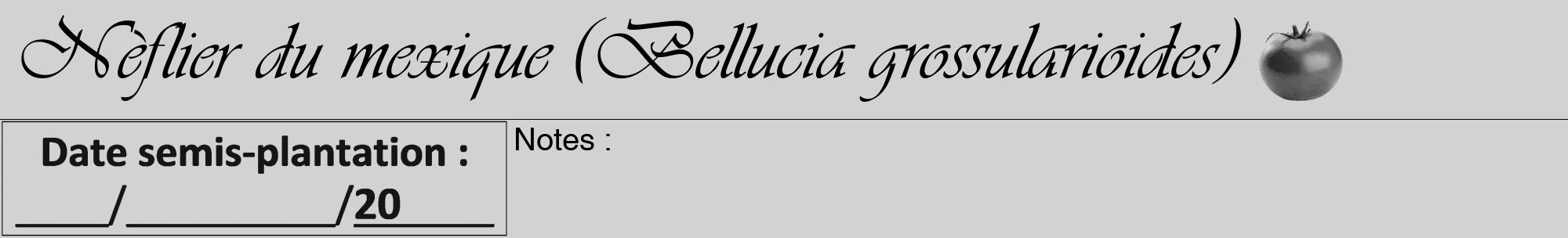 Étiquette de : Bellucia grossularioides - format a - style noire14viv avec comestibilité simplifiée