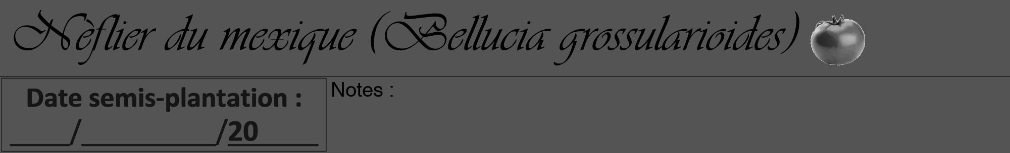 Étiquette de : Bellucia grossularioides - format a - style noire30viv avec comestibilité simplifiée