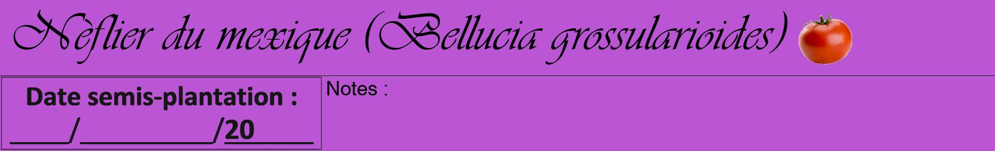 Étiquette de : Bellucia grossularioides - format a - style noire50viv avec comestibilité simplifiée