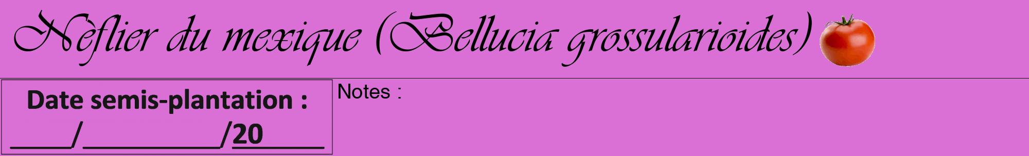 Étiquette de : Bellucia grossularioides - format a - style noire52viv avec comestibilité simplifiée
