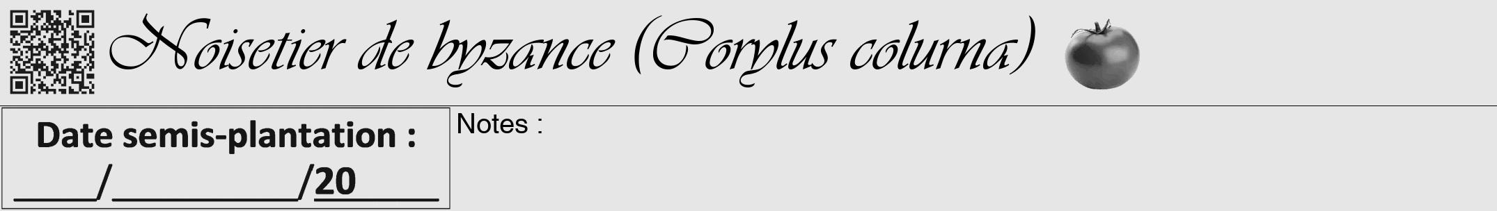Étiquette de : Corylus colurna - format a - style noire18viv avec qrcode et comestibilité simplifiée