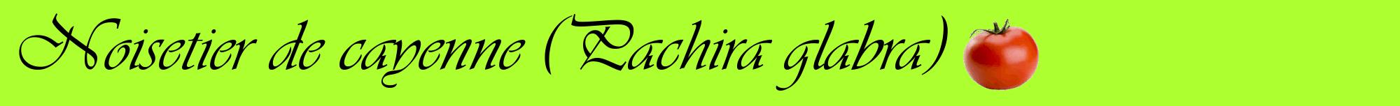 Étiquette de : Pachira glabra - format a - style noire17basiqueviv avec comestibilité simplifiée