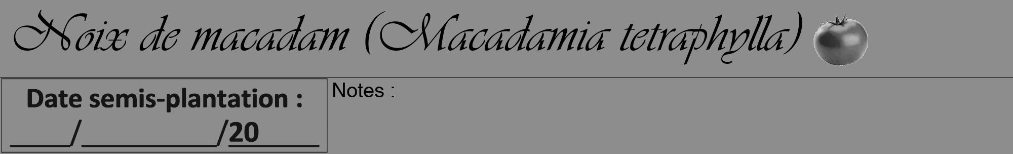 Étiquette de : Macadamia tetraphylla - format a - style noire2viv avec comestibilité simplifiée
