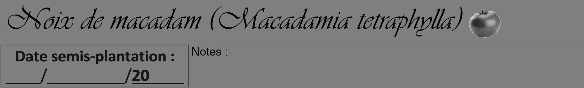 Étiquette de : Macadamia tetraphylla - format a - style noire31viv avec comestibilité simplifiée