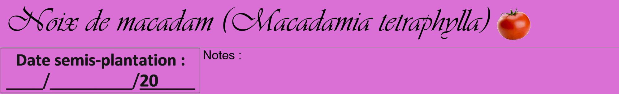 Étiquette de : Macadamia tetraphylla - format a - style noire52viv avec comestibilité simplifiée