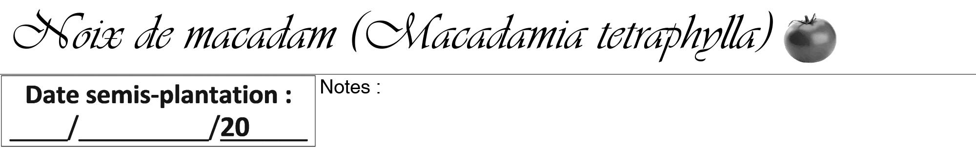 Étiquette de : Macadamia tetraphylla - format a - style noire60viv avec comestibilité simplifiée