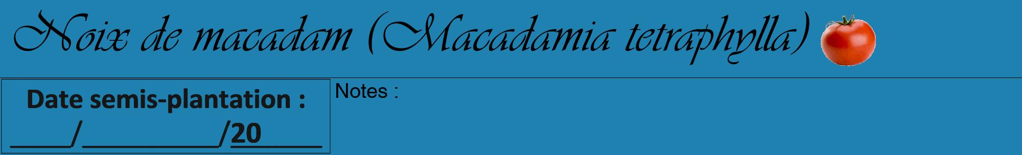 Étiquette de : Macadamia tetraphylla - format a - style noire6viv avec comestibilité simplifiée