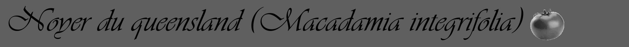 Étiquette de : Macadamia integrifolia - format a - style noire10viv avec comestibilité simplifiée