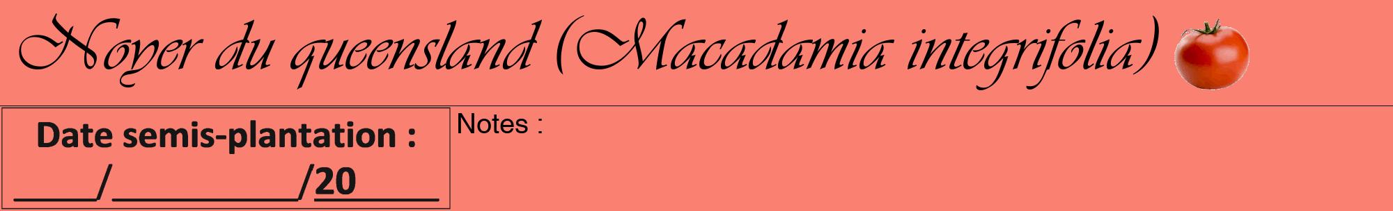 Étiquette de : Macadamia integrifolia - format a - style noire38viv avec comestibilité simplifiée