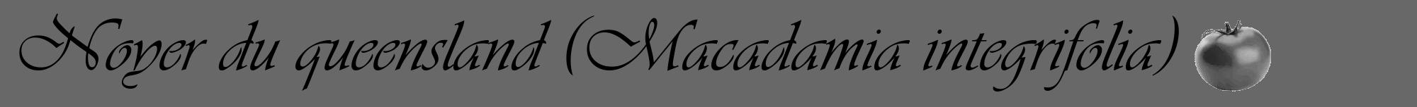 Étiquette de : Macadamia integrifolia - format a - style noire43basiqueviv avec comestibilité simplifiée