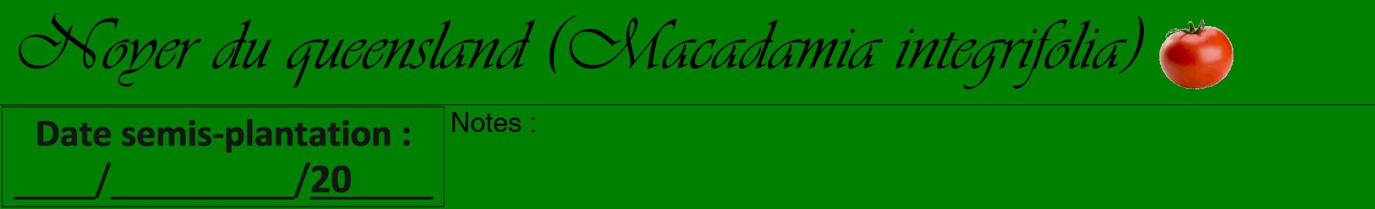 Étiquette de : Macadamia integrifolia - format a - style noire9viv avec comestibilité simplifiée